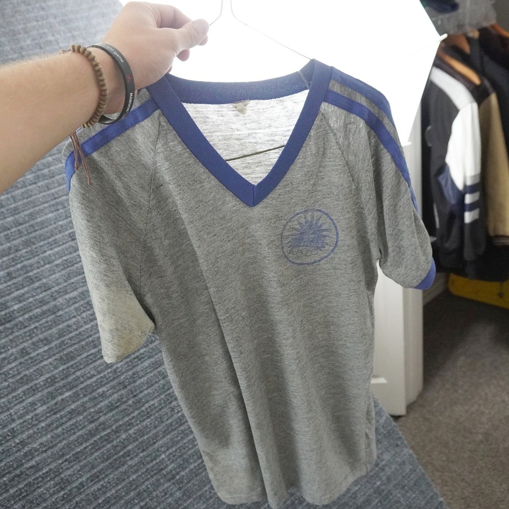 Vintage 80s Thin Lake Placid Bantam Ringer T-Shirt L Gray V-Neck Stripe Raglan